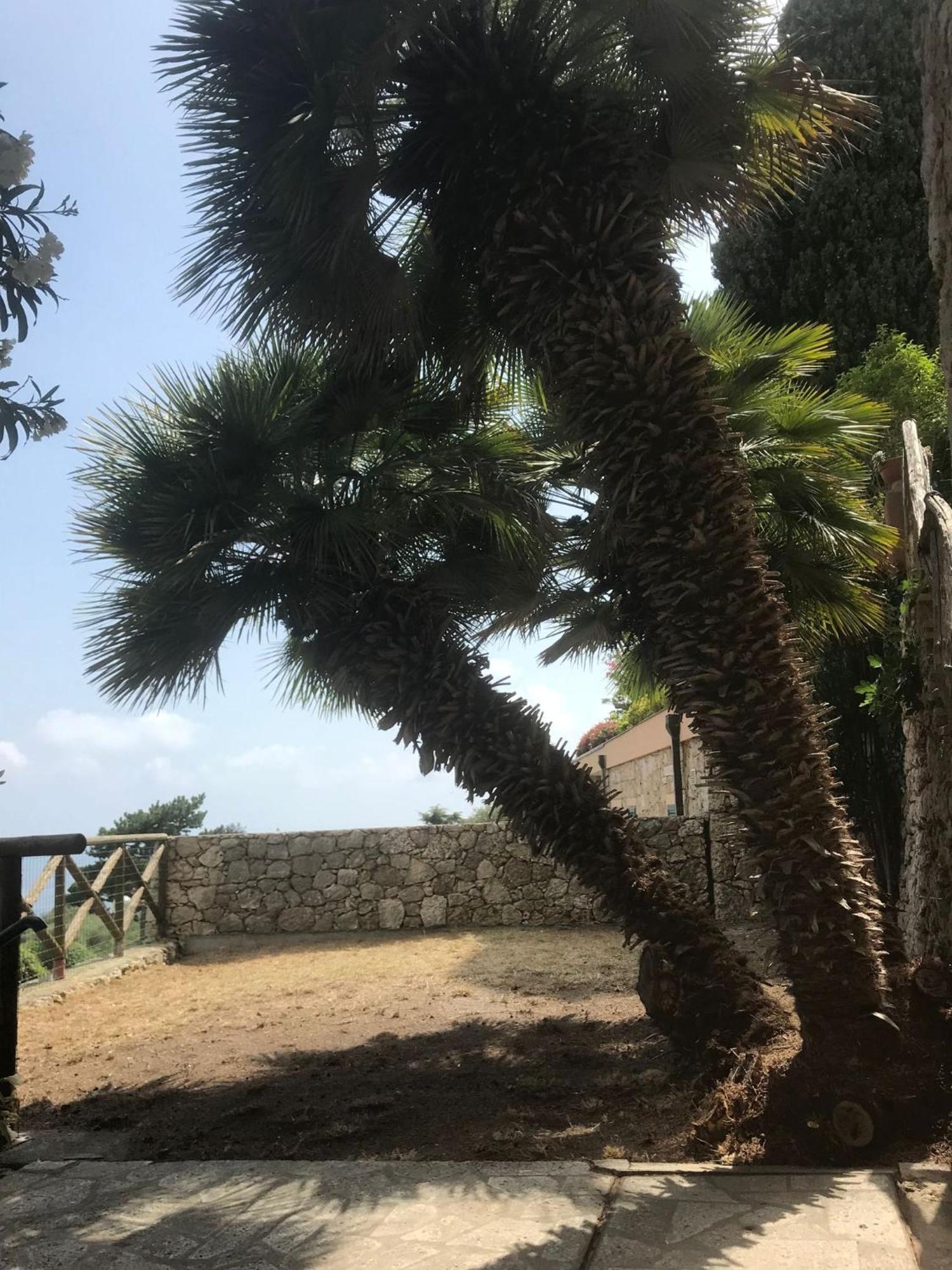 Ferienwohnung La Cita Ca - Vista Mare Finale Ligure Exterior foto
